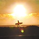 Forrest Cook - @cook_forrest - Instagram