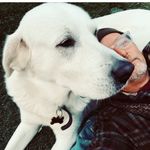 Forrest Cook - @freakbike - Instagram