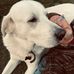 Forrest Cook - Facebook