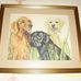 Sarah forrest cross stitch page - Facebook