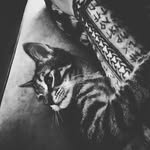 Forrest Dyer - @forrest.dyer - Instagram