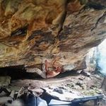 Forrest Evans - @evans.forrest - Instagram