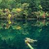foresterowen - @foresterowen - TikTok