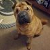 Forrest Richardson Fleming - Facebook