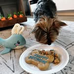 Forrest Francis - @aryallocko - Instagram