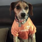 Forrest Frye - Facebook