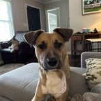 Forrest Gaines - Facebook