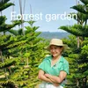Forrest garden - @forrest.garden - TikTok