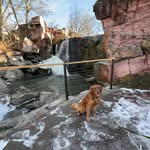 Blake and Forrest Curalli - @golden_life_of_blake_n_forrest - Instagram