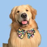 Forrest, the Gump golden - @forrestgolden - Instagram