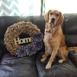Golden Forrest - @goldenforrest - Instagram