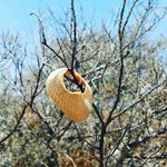 Forrest Graham Kazee - @fsgkazee - Instagram