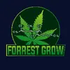 forrestgrow.at - @forrestgrow - TikTok