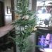 Forrest Guffey - Facebook