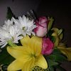 Forrest Hall - @2167565425 - TikTok