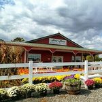 Forrest Hall Farm and Orchard - @forresthallfarm - Instagram