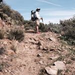 @forrestharrington70 - Instagram