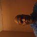 Forest Harris - Facebook