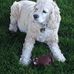 Forrest Hartman - Facebook