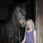 Haywardsnewforestponies - @haywardsnewforestponies - Instagram