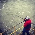Forrest Herndon - @fherndon94 - Instagram