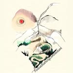 Jaimie Herzog *certified forest bathing guide* - @forestbathingconnection - Instagram