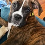 Ann Forrest Hines - Facebook