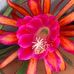 Forrest Hooper - Facebook