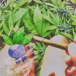 @forrest_isonfire - Instagram