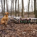 Forrest James - @_forrest.james_ - Instagram