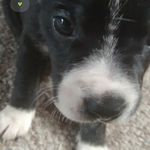 Forrest Jones - @forrestjones47 - Instagram