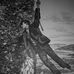 Forrest Keyes - Facebook