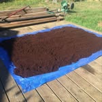 Forest Kinney - @emeraldtriangle_vermicompost - Instagram