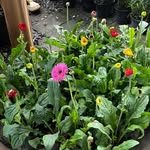 @for_rest_land - Instagram