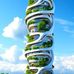 Forest Land - Facebook