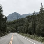 Forrest Larson - @forrestslarson5 - Instagram