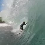 Forrest Lindner - @forrest_lindner - Instagram