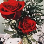 Forrest Link - @forrest.link - Instagram
