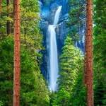 Forest Lopez - @forestlopez67 - Instagram