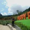 Forrest - @love.forrest - TikTok