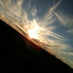 Love Forrest - @forrest_love - Instagram