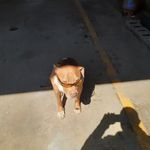 forrest lyons - @forrest.lyons - Instagram
