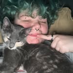 𝙵𝚘𝚛𝚛𝚎𝚜𝚝 / 𝙼𝚊𝚛𝚜𝚑𝚊𝚕𝚕 - @wolfs_secret_forrest - Instagram