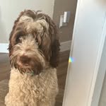 Marshall Forrest - @marshallforrest2 - Instagram