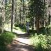 Forrest Maynard - Facebook
