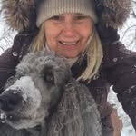 Gayle Forrest McCormick - @gayleforrestmccormick - Instagram