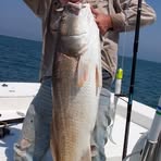Forrest McGuire - Facebook
