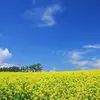forestermcmahon - @forestermcmahon - TikTok