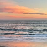 Liam Forrest Mitchell - @liamforrestmitchell - Instagram