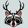 ForestFolkBand - @forestmoehlemusic - TikTok
